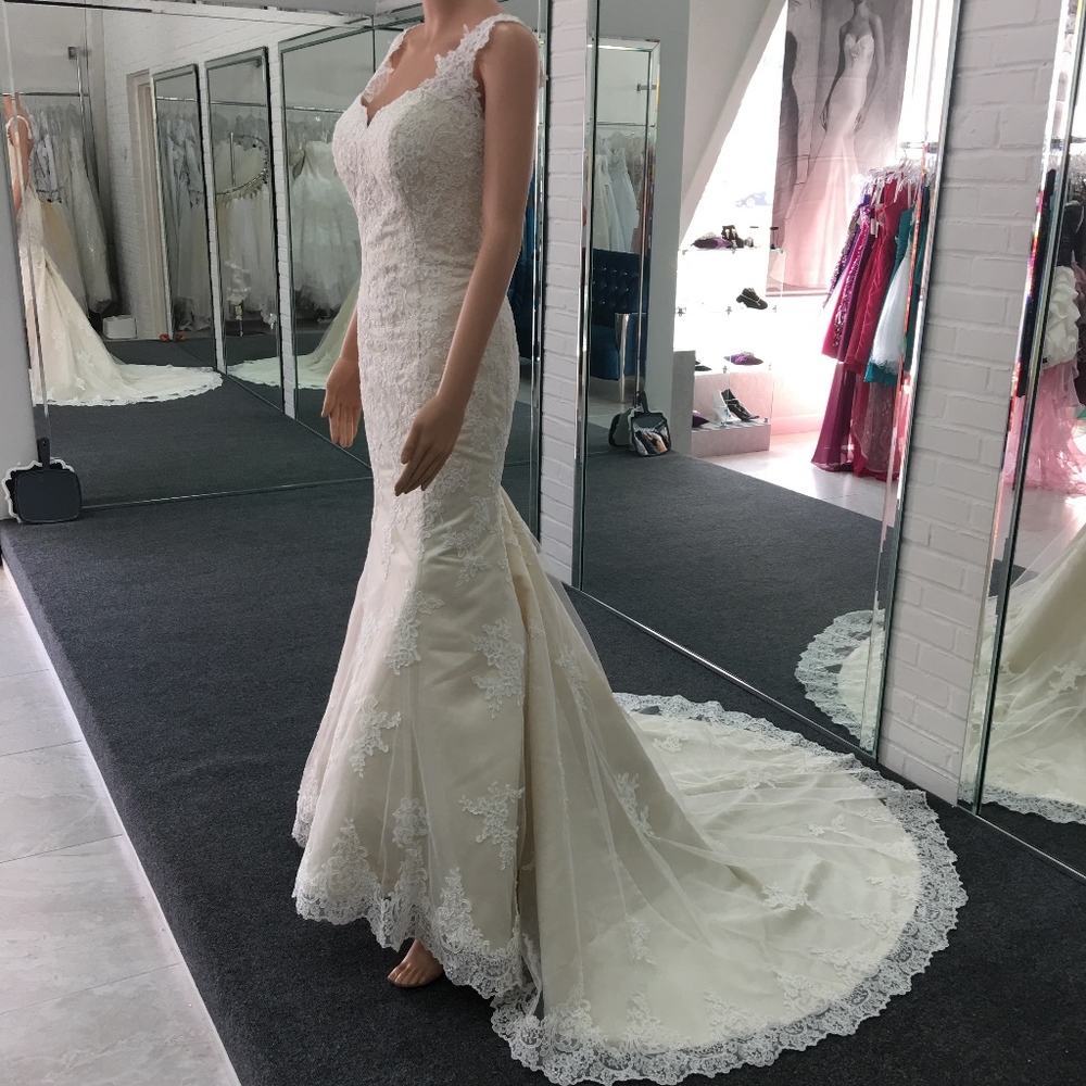 Size 10 Christina Wu Wedding Gown #15623